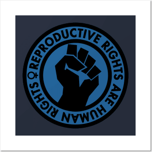 Reproductive Rights are Human Rights (blue) Posters and Art